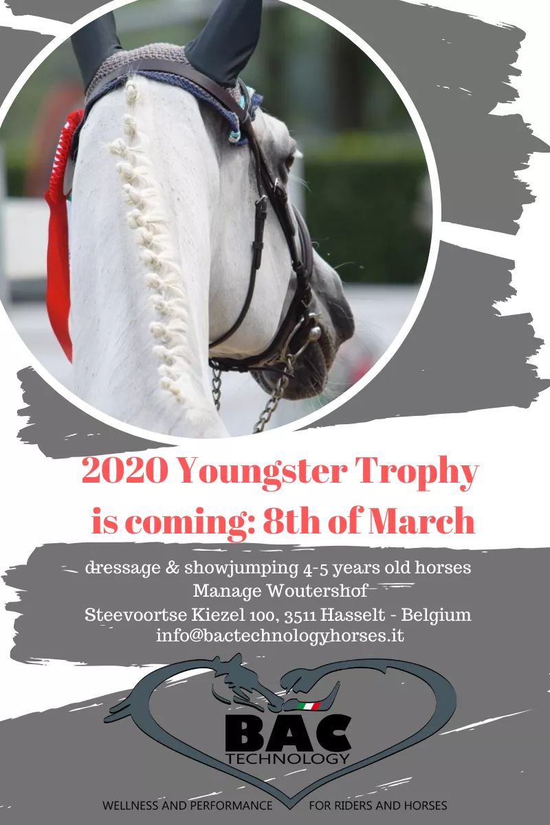 Bac Technology Trophy for Young Horses in Belgio
