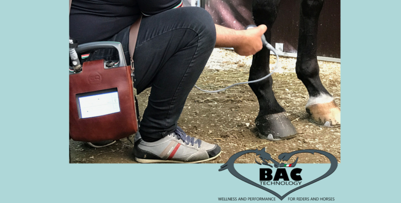 Trattamenti riabilitativi sui cavalli con BAC Technology: l'esperienza di Marco Massara
