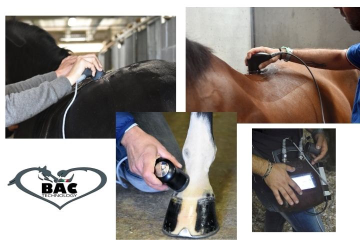 BAC Technology al servizio del cavallo atleta