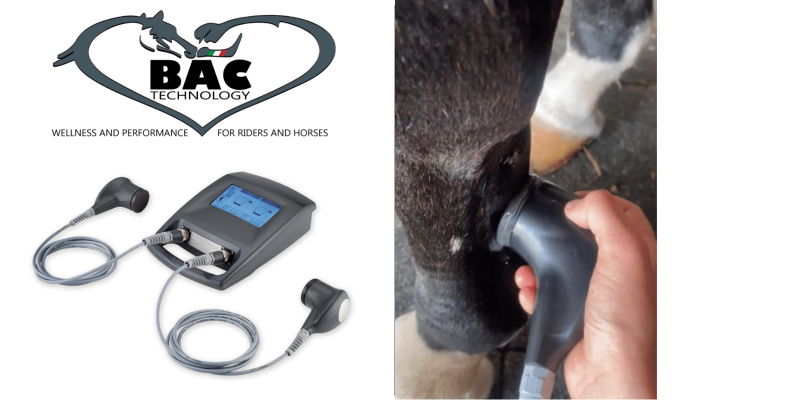 Case Report veterinario sui trattamenti con ultrasuono a bassa frequenza BAC Technology