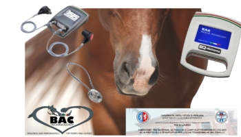 I dispositivi BAC Technology al centro di una tesi di laurea sulle lesioni tenodesmiche del cavallo